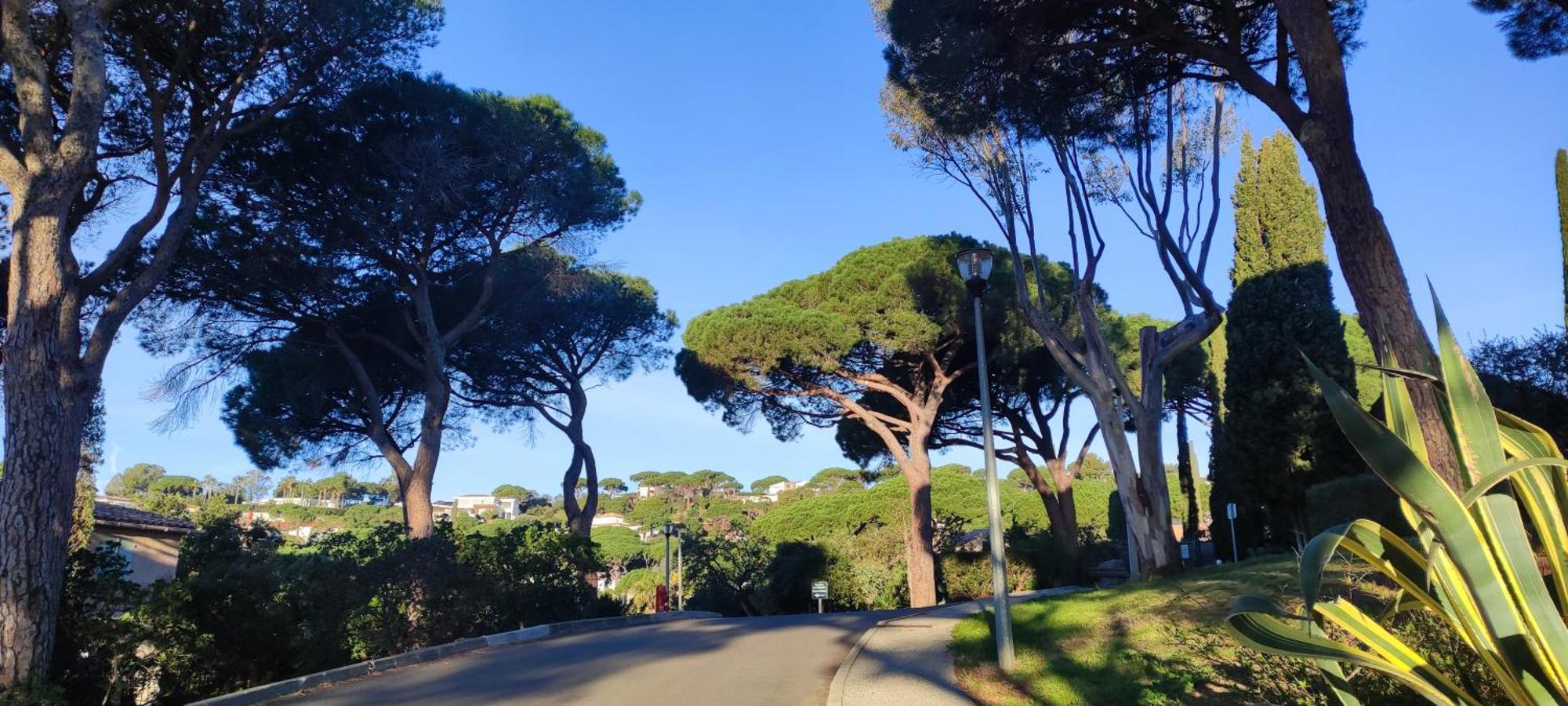 Lovely Beach Sainte-Maxime Extérieur photo
